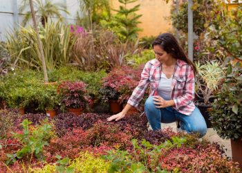 Landscaping on a Budget: Creating a Beautiful Yard Without Breaking the Bank