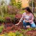 Landscaping on a Budget: Creating a Beautiful Yard Without Breaking the Bank