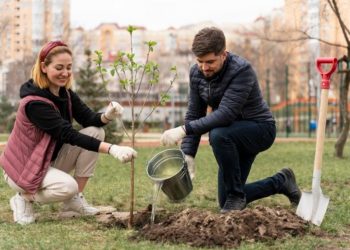 How to Go Green in Harrisonburg, VA