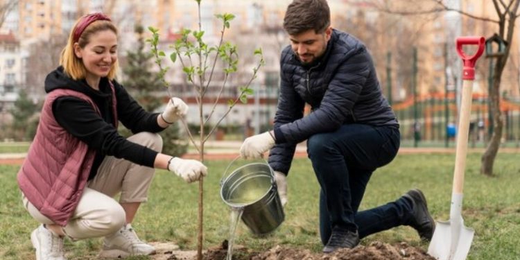 How to Go Green in Harrisonburg, VA