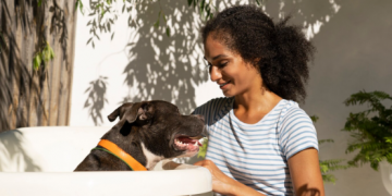 Ensuring Safe and Happy Grooming: Exploring the Safety of Dog Grooming in Boca Raton
