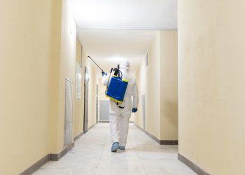 Comparing Pest Control Services: How to Choose the Right Provider in Richmond Hill