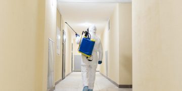 Comparing Pest Control Services: How to Choose the Right Provider in Richmond Hill