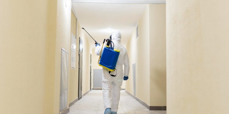 Comparing Pest Control Services: How to Choose the Right Provider in Richmond Hill