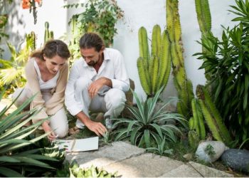 Property Owners Encouraged By Benefits Of Using Moss In Shade Gardens