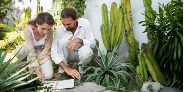Property Owners Encouraged By Benefits Of Using Moss In Shade Gardens