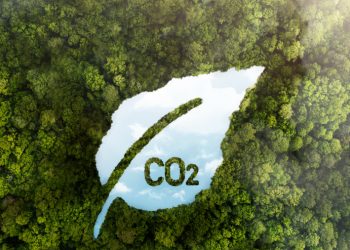 How Singapore’s Carbon Situation Opens Up Business Opportunities