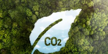 How Singapore’s Carbon Situation Opens Up Business Opportunities
