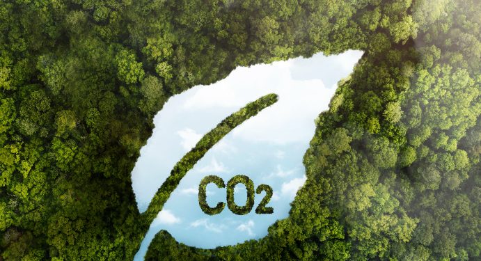 How Singapore’s Carbon Situation Opens Up Business Opportunities