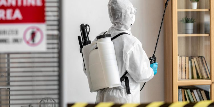 Pest Control in Dubai: Your Shield Against Unwanted Guests