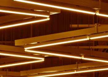 Is Trimlight a Long-Lasting Solution for Year-Round Outdoor Lighting?