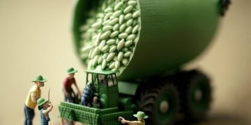 Cultivation Charges: Legal Implications and Defense Strategies