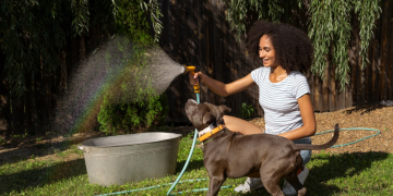 Keeping Fairfield Fresh: Why Dog Poop Cleanup Services Are on the Rise