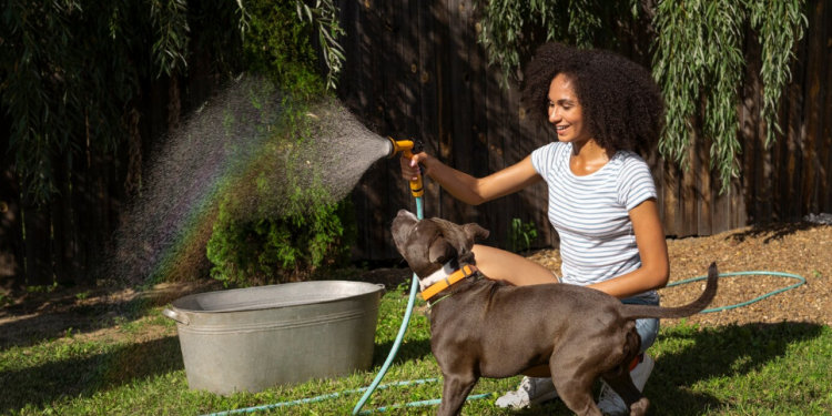 Keeping Fairfield Fresh: Why Dog Poop Cleanup Services Are on the Rise