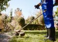 Transforming Your Yard with Professional Lawn Care Service