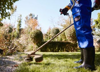 Transforming Your Yard with Professional Lawn Care Service