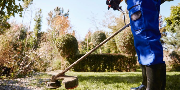 Transforming Your Yard with Professional Lawn Care Service