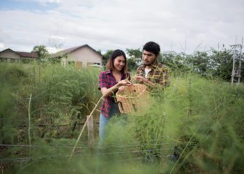 Desa sebagai Pusat Pertumbuhan Ekonomi Lokal yang Berkelanjutan