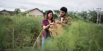 Desa sebagai Pusat Pertumbuhan Ekonomi Lokal yang Berkelanjutan