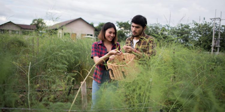 Desa sebagai Pusat Pertumbuhan Ekonomi Lokal yang Berkelanjutan